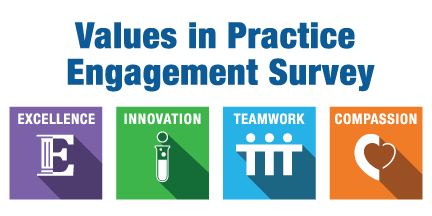 Values in Practice Engagement Survey