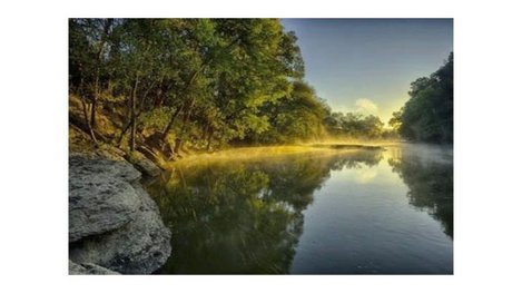 Calm lake with reflected trees and sky