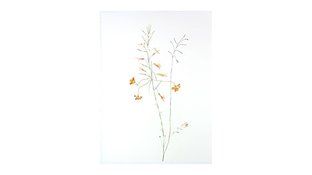 Watercolor flower collage