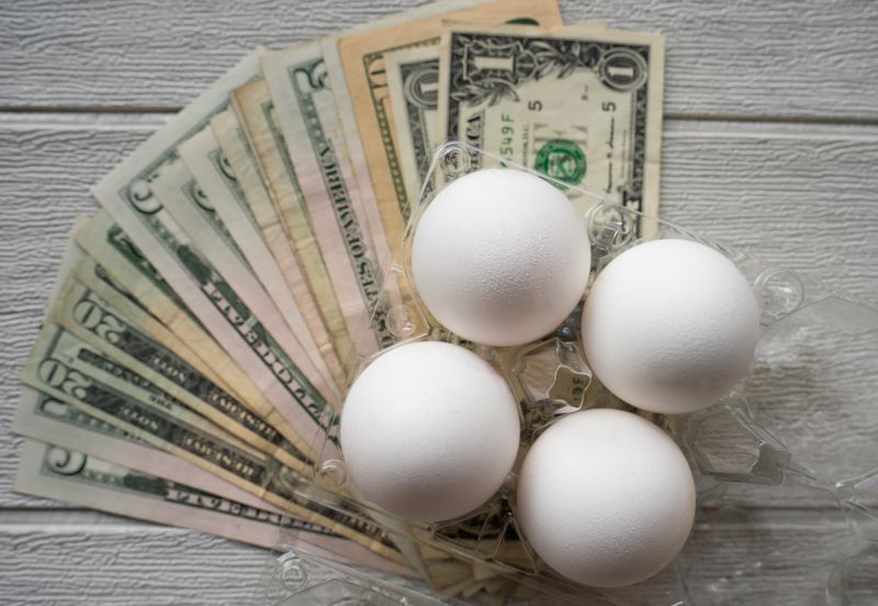 Beyond eggs: Protein sources that strike the right balance