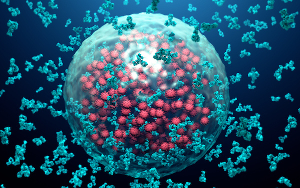 Taking aim at graft-versus-host disease after stem cell transplant