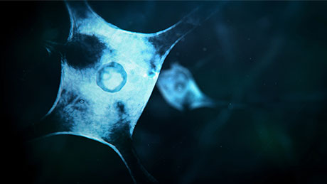 Close-up of a brain neuron