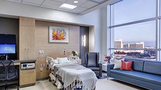 hospital room with bed and couch