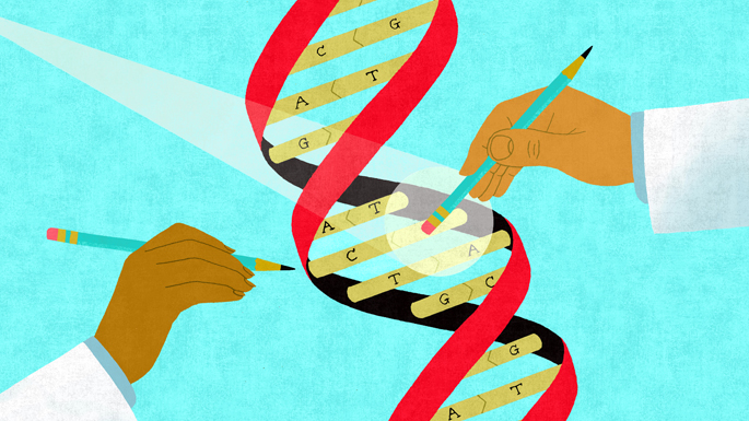 An illustration showing hands editing a DNA double helix with pencils, representing genetic modification or gene editing.