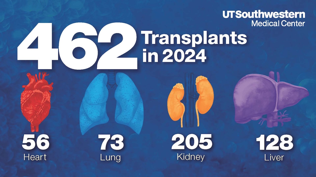 Transplant Program statistics for 2024