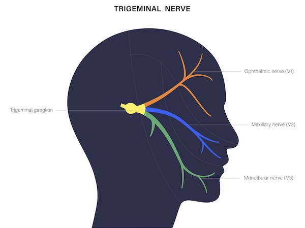 What's causing ‘electric’ facial pain? It might be trigeminal nerve damage