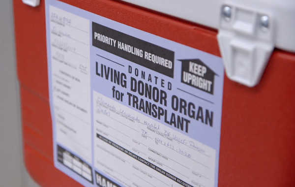 Dual epidemics in Texas: Navigating kidney transplantation during COVID-19